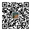 igeo中仿岩土软件